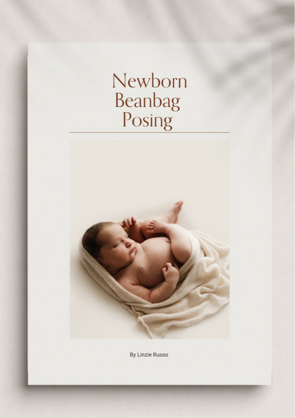 Newborn Beanbag Posing Guide - with FREE access to online course